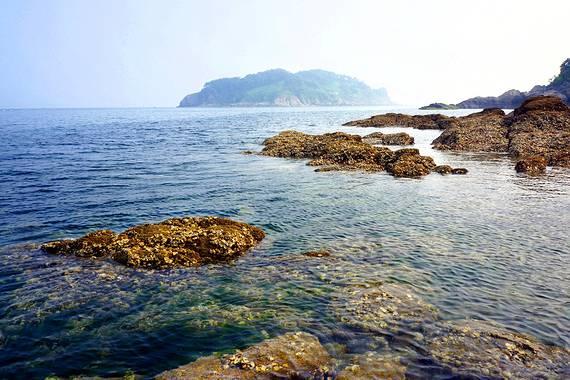 大丛林度假村逃生