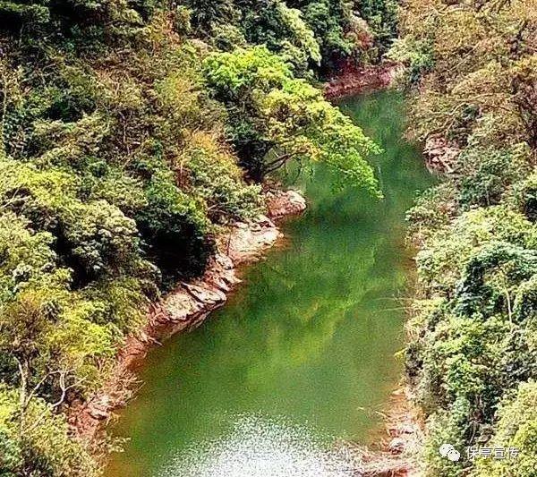 探索冷知识,尽在